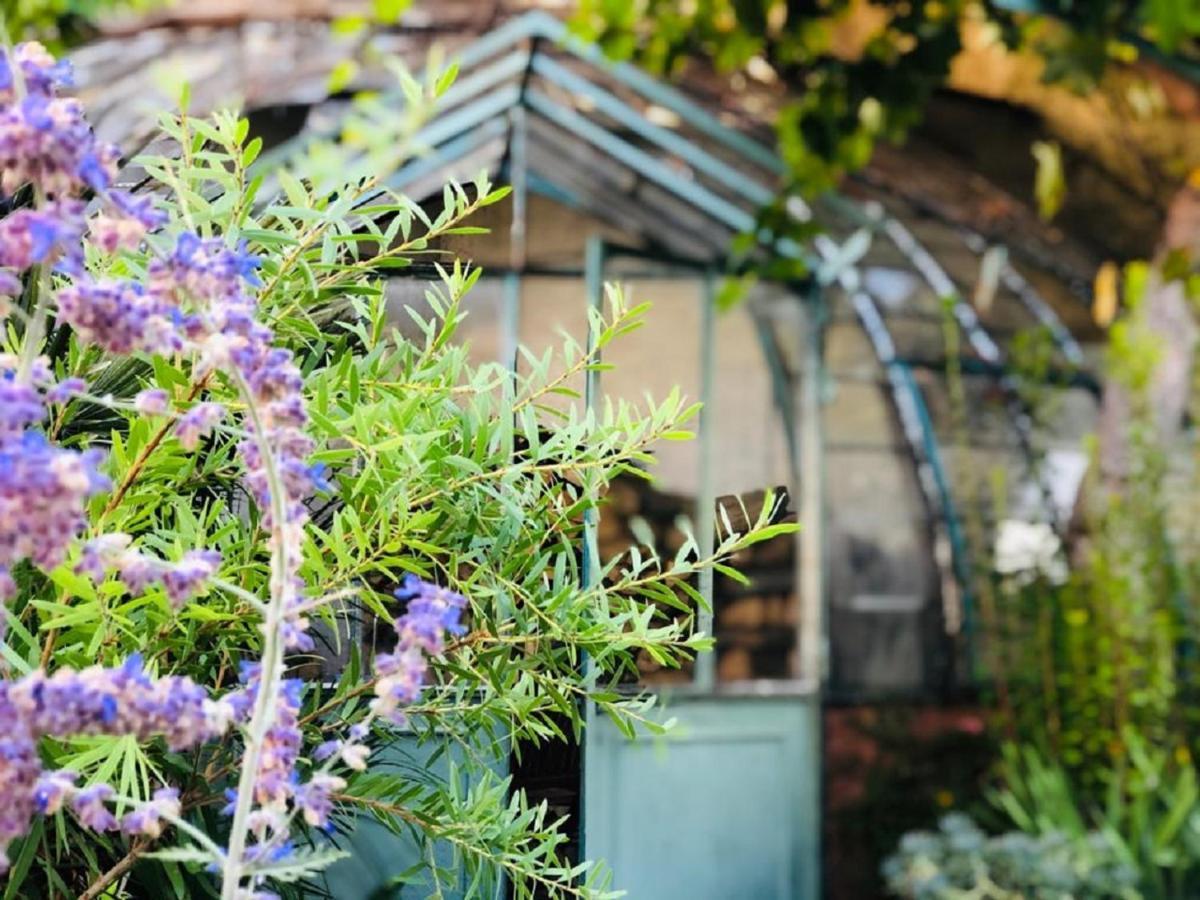 O'palmier Cache Bed & Breakfast Saint-Marcel-sur-Aude