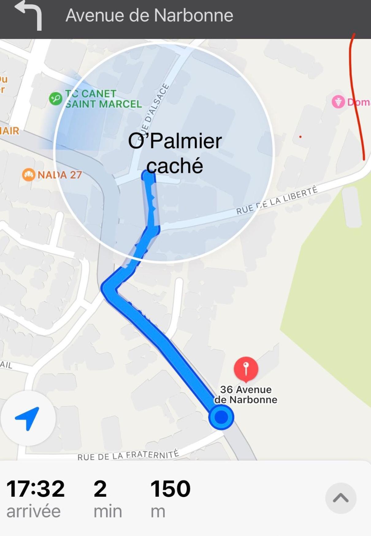 Bed & Breakfast O'palmier Cache Saint-Marcel-sur-Aude