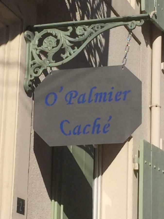Couette-café O'palmier Caché